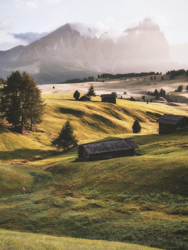 Landschaftsbild mit Wiesen, Bäumen und Bergen im Hintergrund